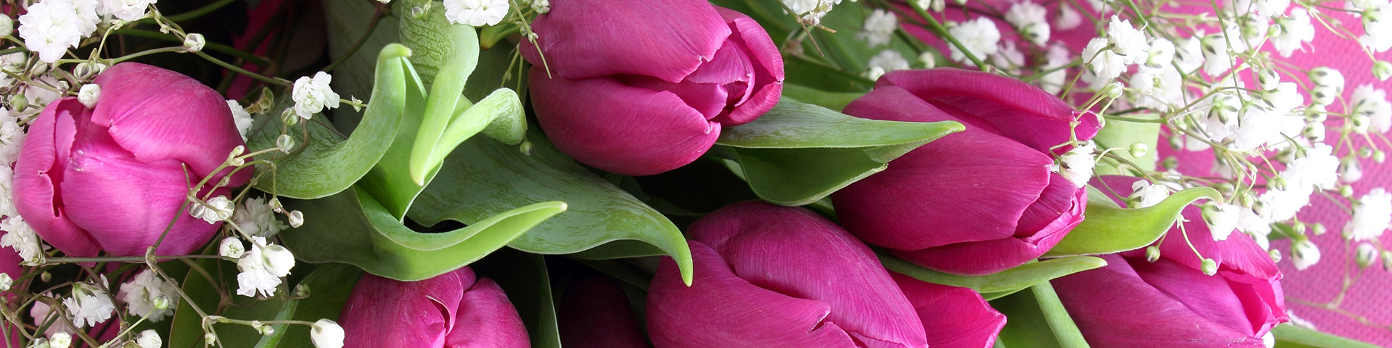 Mother's Day Flowers