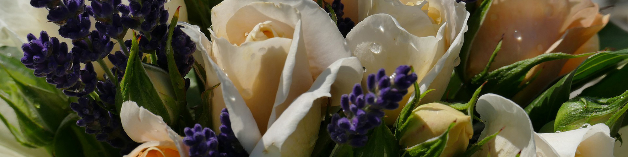 Summer Flowers