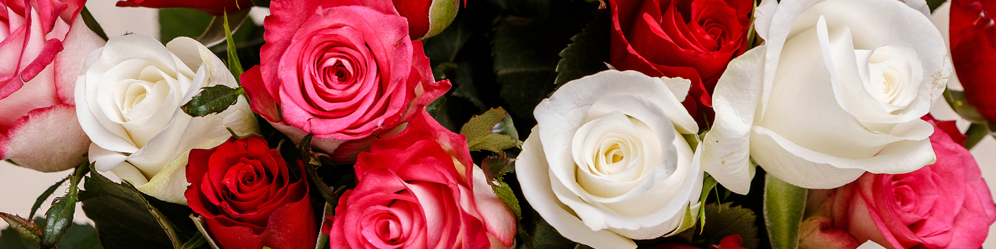 Valentine's Day Flowers